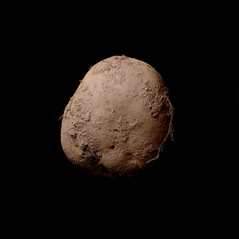 1-million-potato-photograph