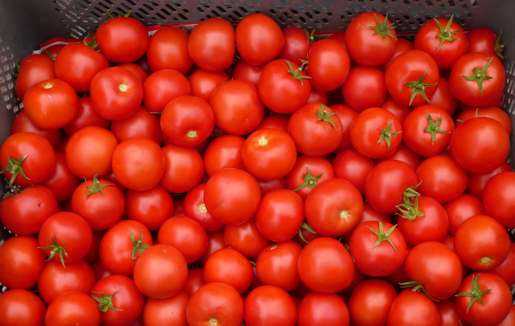 tomatoes-for-acne-scars