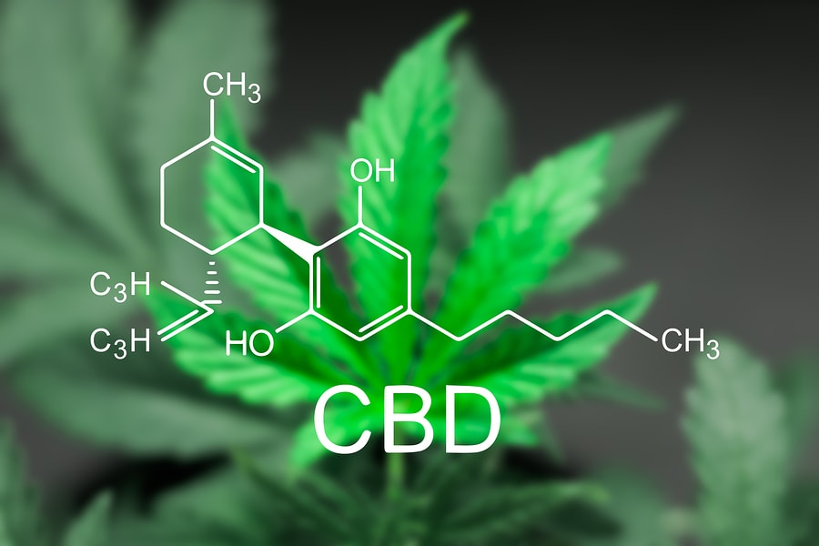 How Is CBD Oil Changing The Landscape Of Medicine The Way We Knew It
